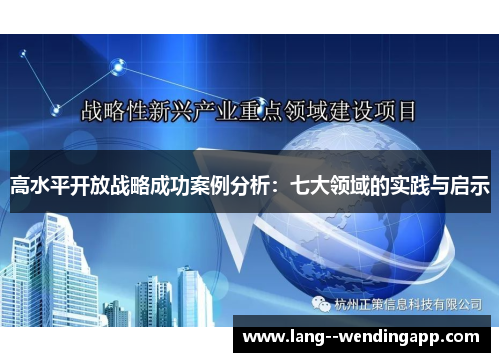 高水平开放战略成功案例分析：七大领域的实践与启示