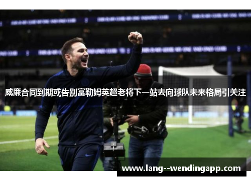 威廉合同到期或告别富勒姆英超老将下一站去向球队未来格局引关注