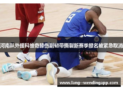 河南队外援科维奇膝伤副韧带撕裂新赛季报名被紧急取消